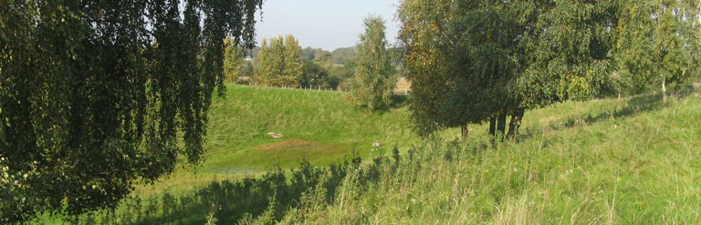 kystkile8